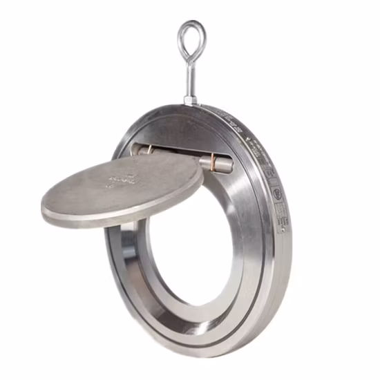 ANSI Standard Made in China Stainless Steel with Dual Plate and Wafer Check Valve