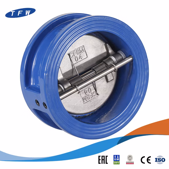 ANSI Standard Made in China Stainless Steel with Dual Plate and Wafer Check Valve