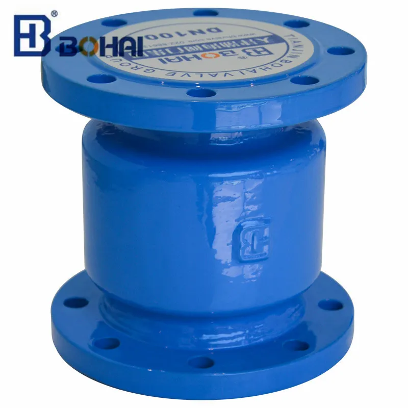 Flange Silencing Check Valve