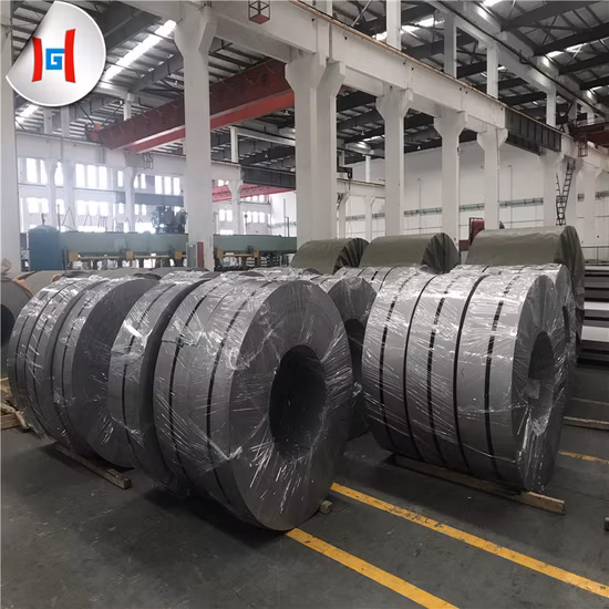 Titanium/Carbon Hastelly/Monell Alloy/Aluminum/Galvanized/Stainless Steel Coil