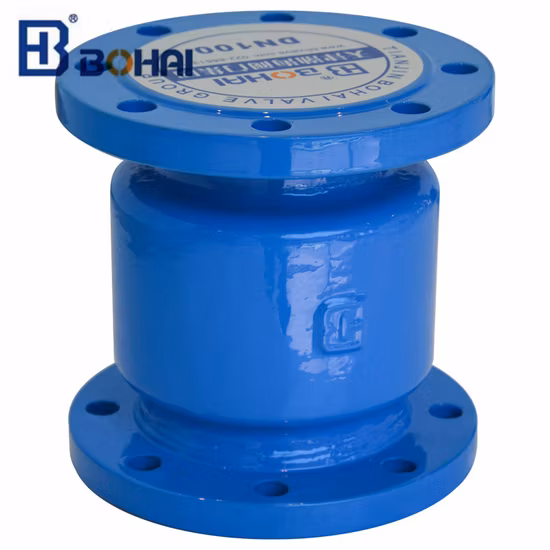 Flange Silencing Check Valve