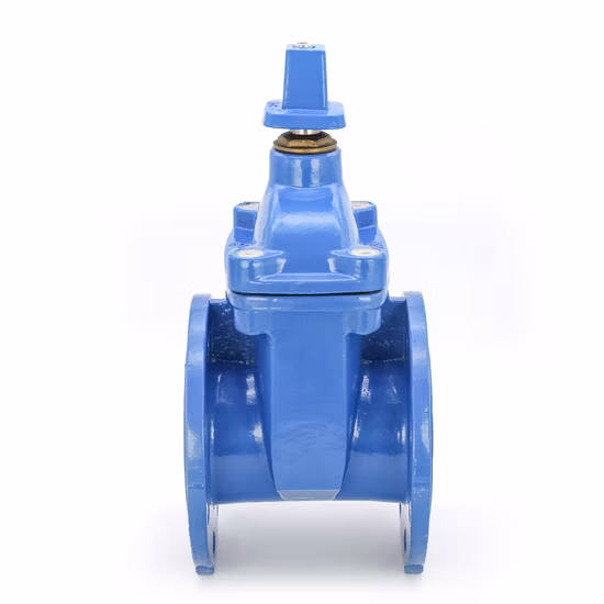 API 炭素鋼 Wcb フランジ付きライジング ステム ゲート バルブ